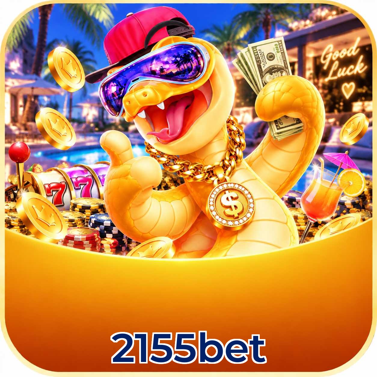 2155bet App vs Web